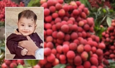 গলায় লিচুর বিচি আটকে শিশুর মৃত্যু