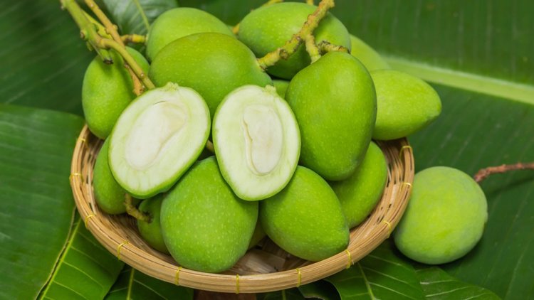 কাঁচা আম খাওয়ার উপকারিতা