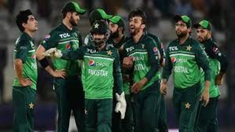 এক যুগ পর নিউজিল্যান্ডের বিপক্ষে সিরিজ জিতল পাকিস্তান 