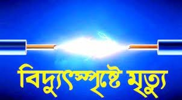 রাজবাড়ীতে বিদ্যুৎস্পৃষ্টে একজনের মৃত্যু