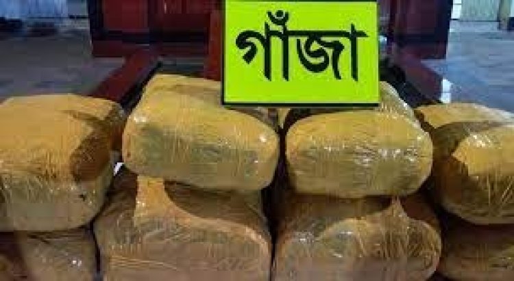 যাত্রাবাড়ীতে ৫০ কেজি গাঁজাসহ গ্রেপ্তার ২