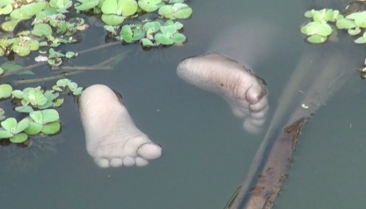 নারায়ণগঞ্জে বুড়িগঙ্গায় ভাসছিল শিশুর লাশ