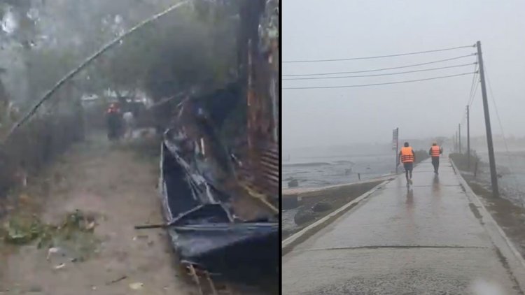 সেন্টমার্টিনে গাছচাপায় নারীসহ ২ জনের মৃত্যু