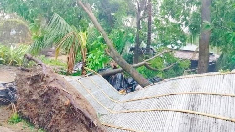মোখার তাণ্ডবে কক্সবাজারে ১০ হাজার ঘরবাড়ি ক্ষতিগ্রস্ত, আহত ১১