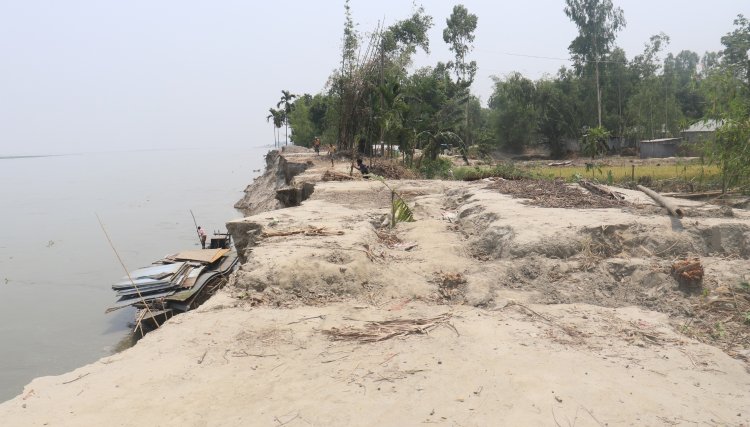 কুড়িগ্রামে ব্রহ্মপুত্রের ভাঙনে গৃহহীন ৩০০ পরিবার ঝুঁকিতে বাঁধ স্কুলসহ ১০ গ্রাম