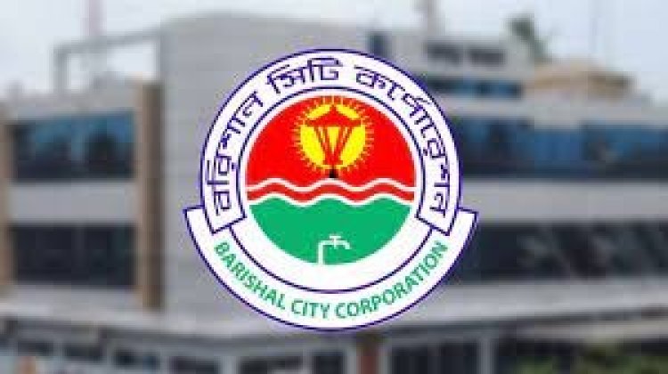 প্রার্থিতা ফিরে পেতে আপিল করবেন দুই মেয়র প্রার্থী