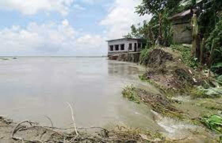অসময়ে পদ্মায় ভাঙন, আতঙ্কে নির্ঘুম রাত কাটছে এলাকাবাসীর