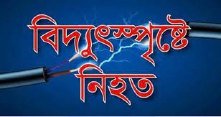 কুড়িগ্রামে বিদ্যুৎস্পৃষ্টে প্রাণ গেলো যুবকের
