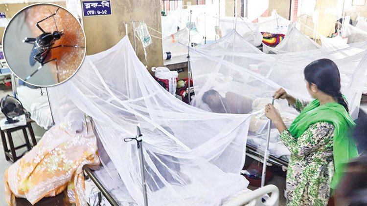 একদিনে ডেঙ্গু আক্রান্ত হয়ে হাসপাতালে ভর্তি ৮০