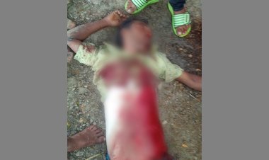 শিশুকে বাঁচাতে গিয়ে প্রাণ গেল মোটরসাইকেল চালকের