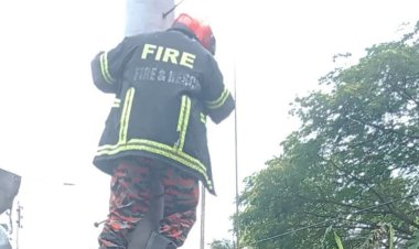 বিদ্যুতের খুঁটিতে ঝুলছিল লাইনম্যানের মরদেহ