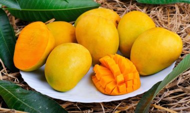 আম খাওয়ার আগে কিছুক্ষণ ভিজিয়ে রাখতে হয় কেন?