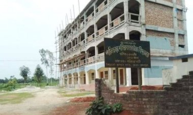 পালিচড়া এমএন উচ্চ বিদ্যালয়: ভুয়া সার্টিফিকেটে ১৭‌ বছর শিক্ষকতা