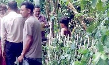 শিবগঞ্জে কবর থেকে কঙ্কাল চুরি