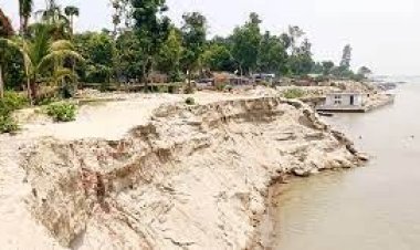 দুই সপ্তাহে যমুনার পেটে এক কিলোমিটার এলাকা