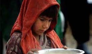 জাতিসংঘের সতর্কবার্তা : 'খাদ্য সংকটের হটস্পট' পাকিস্তান-আফগানিস্তান
