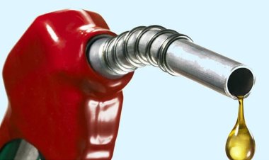 সৌদির ঘোষণায় বাড়ল তেলের দাম