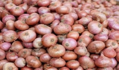 ফরিদপুরে যুবককে হাতুড়িপেটা করে পেঁয়াজ লুট