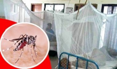 ডেঙ্গুতে একজনের মৃত্যু, হাসপাতালে ভর্তি ১০১