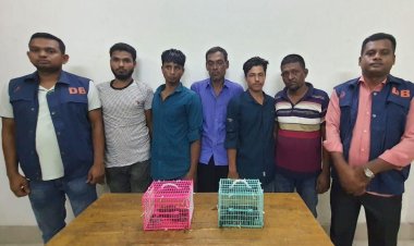 চট্টগ্রাম থেকে ৭ তক্ষক উদ্ধার, গ্রেপ্তার ৫