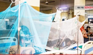 ডেঙ্গুতে আক্রান্ত হয়ে আরও ৯৬ জন হাসপাতালে ভর্তি 