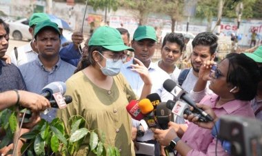 তাপ কমাতে কাজ শুরু করেছেন চিফ হিট অফিসার