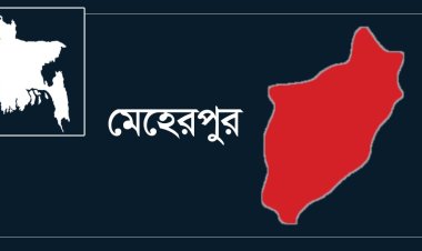 মেহেরপুরে বিদ্যুৎস্পৃষ্ট হয়ে মা-মেয়ের মৃত্যু