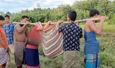 গুরুতর অর্ধশতাধিক রোগী: সাজেকের দুর্গম লংথিয়ানপাড়ায় ডায়রিয়ায় দুইজনের মৃত্যু