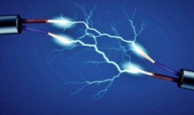 গরু নিয়ে বাড়ি ফেরা হলো না গৃহবধূর