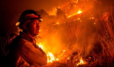 দাবানলে স্বাস্থ্যঝুঁকিতে কানাডা-যুক্তরাষ্ট্রের ১০ কোটির বেশি মানুষ