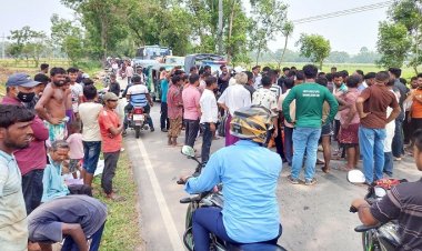 হবিগঞ্জে গাছ কাটা ও বিদ্যুৎ বিভ্রাটের প্রতিবাদে শিক্ষার্থীদের সড়ক অবরোধ