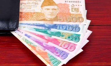 সংকটেও সরকারি চাকরিজীবীদের বেতন ৩৫ শতাংশ বাড়াল পাকিস্তান