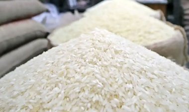 ঈদ উপলক্ষ্যে ১০ কেজি করে চাল পাবেন ১ কোটি ভিজিএফ কার্ডধারী