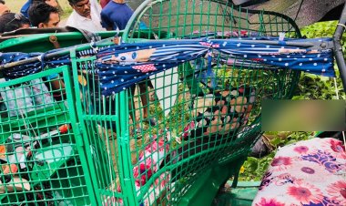 গাজীপুরে ট্রাক-অটোরিকশা সংঘর্ষে নিহত ২ 