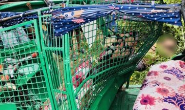 গাজীপুরে ট্রাক চাপায় অটোরিকশার দুই যাত্রী নিহত