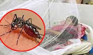 ডেঙ্গুতে আরও ২ জনের মৃত্যু, হাসপাতালে ভর্তি ১৮৯