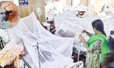 ডেঙ্গুতে আরও ২ জনের মৃত্যু, হাসপাতালে ভর্তি ১৮০