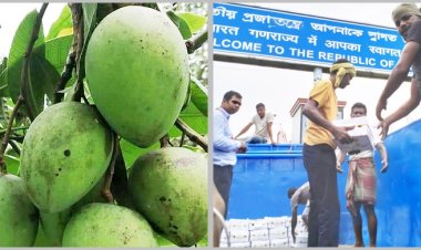 মমতার জন্য ৩০ মণ হাঁড়িভাঙ্গা পাঠালেন প্রধানমন্ত্রী