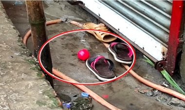 আড়াইহাজার পৌরসভা নির্বাচনে সংঘর্ষ ককটেল বিস্ফোরণ, প্রার্থীসহ আহত-৪