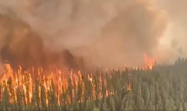 ধোঁয়ায় ঢেকে গেছে ওয়েস্টার্ন কানাডা, আলবার্টায় বেড়েছে তীব্রতা