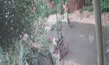 সিসিটিভিতে ধরা পড়ল ৭০ বছরের বৃদ্ধকে নৃশংসভাবে হত্যার দৃশ্য