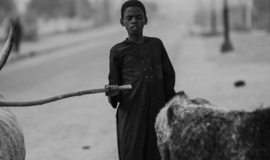 এ গ্রামের সবাই দৃষ্টিহীন! এমনকী গৃহপালিত পশুরাও, সেই গ্রাম কোথায়?