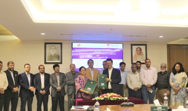 বাংলাদেশি সিফুডের সরবরাহ বাড়াতে কাজ করবে বিডা ও এসএনএ