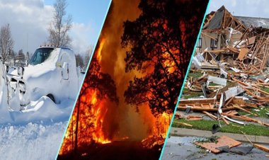 চরম আবহাওয়ায় ইউরোপে ২ লাখ লোকের মৃত্যু