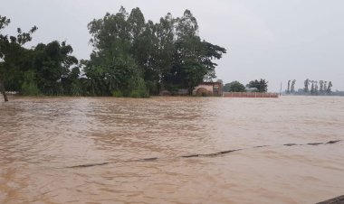 সিলেটে পাহাড়ি ঢল ও বন্যার আশঙ্কা