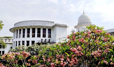 ৫৮২ কোটি টাকা কি বাতাসে খেয়েছে : বিসিআইসিকে হাইকোর্ট