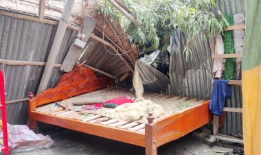 লালমনিরহাটে হঠাৎ ঝড়ে বিধ্বস্ত সহস্রাধিক ঘরবাড়ি