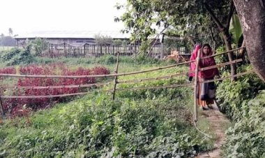 নারী উদ্যোক্তাকে মারধর, ফার্মের রাস্তায় প্রভাবশালীর বাঁশের বেড়া!