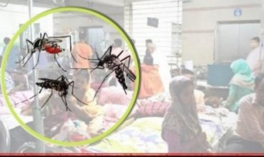ডেঙ্গুতে আরও ৪ জনের মৃত্যু, একদিনে সর্বোচ্চ ৪৭৭ রোগী ভর্তি