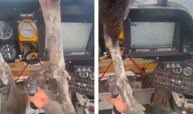 মাঝ আকাশে উইন্ডস্ক্রিন ভেঙে বিমানের ভেতরে ঢুকে গেল পাখি